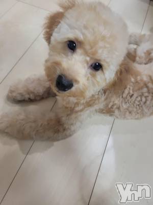 ���ܥ���Х��顦�����club RUDAN(����֥����) ������9��23���̥�֥����֥ƥǥ��٥����åȡ�