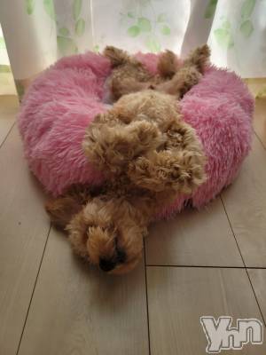 ���ܥ���Х��顦�����club RUDAN(����֥����) ������9��30���̥�֥����֤��뿲🐣��