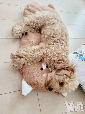 ���ܥ���Х��顦�����club RUDAN(����֥����) ������10��19���̥�֥����֤��ä����ʤ�ޤ���( �ߢώ�)��