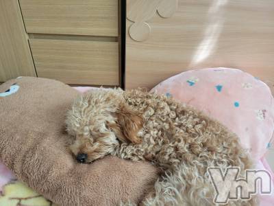 ���ܥ���Х��顦�����club RUDAN(����֥����) ������11��6���̥�֥����֤��뿲🐥��