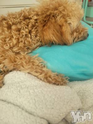 ���ܥ���Х��顦�����club RUDAN(����֥����) ������11��17���̥�֥����֤��Ҥ��(�����ϡ���)��