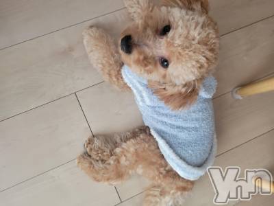 ���ܥ���Х��顦�����club RUDAN(����֥����) ������11��22���̥�֥����֤դ�դ��