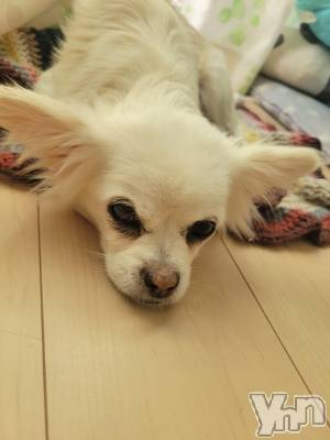 ���ܥ���Х��顦�����club RUDAN(����֥����) ������11��29���̥�֥����֤��Ф���⭐��