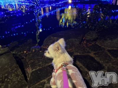 ���ܥ���Х��顦�����club RUDAN(����֥����) ������12��11���̥�֥����֤������