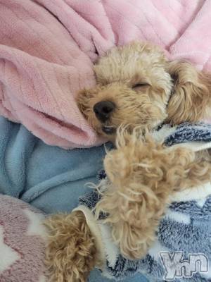 ���ܥ���Х��顦�����club RUDAN(����֥����) ������12��18���̥�֥����֤��䤹�ߡ�