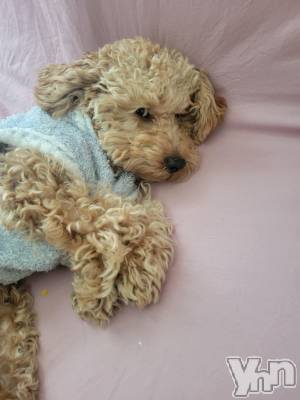 ���ܥ���Х��顦�����club RUDAN(����֥����) ������12��23���̥�֥������ߡ�