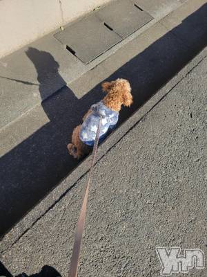 ���ܥ���Х��顦�����club RUDAN(����֥����) ������1��8���̥�֥����֤������