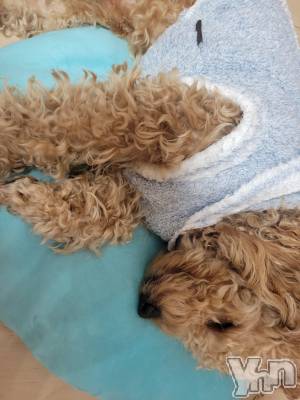 ���ܥ���Х��顦�����club RUDAN(����֥����) ������1��27���̥�֥����֥⥳�⥳��