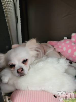 ���ܥ���Х��顦�����club RUDAN(����֥����) ������2��3���̥�֥����֤��뿲��