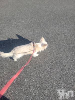 ���ܥ���Х��顦�����club RUDAN(����֥����) ������2��10���̥�֥����֤��������