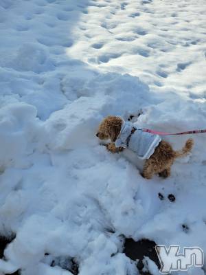 ���ܥ���Х��顦�����club RUDAN(����֥����) ������2��11���̥�֥������㤢���ӡ�