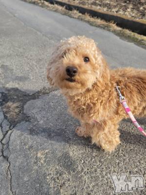 ���ܥ���Х��顦�����club RUDAN(����֥����) ������2��12���̥�֥����֤��������