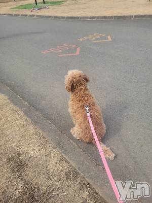 ���ܥ���Х��顦�����club RUDAN(����֥����) ������3��5���̥�֥����֤��������