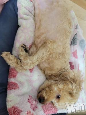 ���ܥ���Х��顦�����club RUDAN(����֥����) ������3��5���̥�֥����֥ȥ�ߥ󥰡�