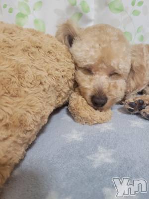 ���ܥ���Х��顦�����club RUDAN(����֥����) ������3��11���̥�֥����֤��뿲��