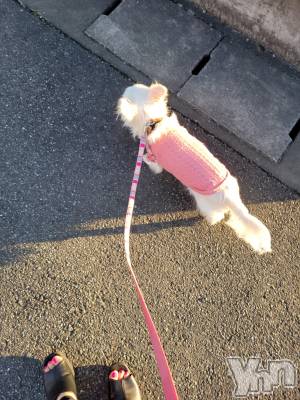 ���ܥ���Х��顦�����club RUDAN(����֥����) ������3��16���̥�֥����֤��������