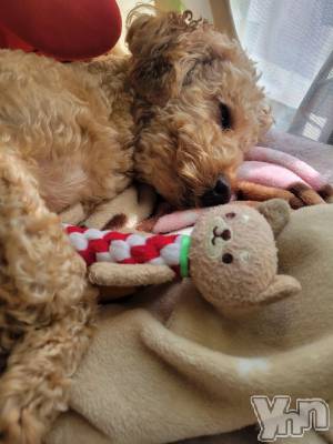 ���ܥ���Х��顦�����club RUDAN(����֥����) ������3��17���̥�֥����֤�������