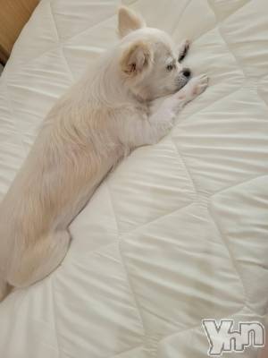 ���ܥ���Х��顦�����club RUDAN(����֥����) ������3��20���̥�֥����֤��뿲⭐��