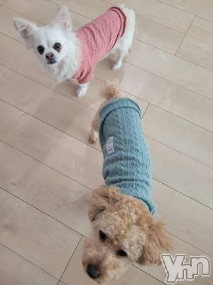 ���ܥ���Х��顦�����club RUDAN(����֥����) ������3��21���̥�֥����֤���������