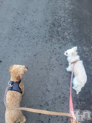 ���ܥ���Х��顦�����club RUDAN(����֥����) ������4��3���̥�֥����֤��������