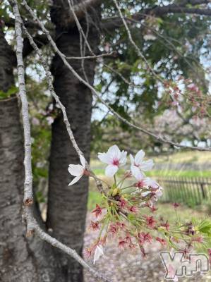 ���ܥ���Х��顦�����club RUDAN(����֥����) ������4��6���̥�֥����ֲ�ʴ��