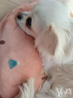 ���ܥ���Х��顦�����club RUDAN(����֥����) ������4��8���̥�֥����֤��䤹�ߡ�