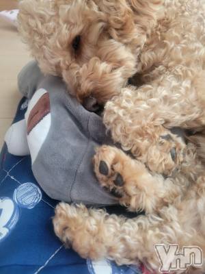 ���ܥ���Х��顦�����club RUDAN(����֥����) ������4��12���̥�֥����֤��뿲��