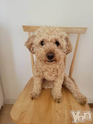 ���ܥ���Х��顦�����club RUDAN(����֥����) ������4��23���̥�֥����֤⤳�⤳�����