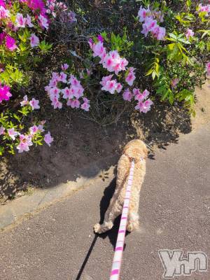 ���ܥ���Х��顦�����club RUDAN(����֥����) ������5��5���̥�֥����֤��������