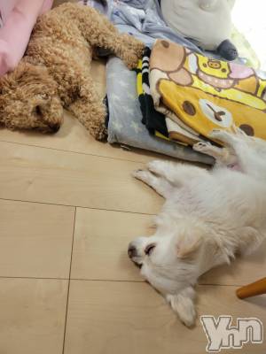 ���ܥ���Х��顦�����club RUDAN(����֥����) ������5��12���̥�֥����֤��뿲��