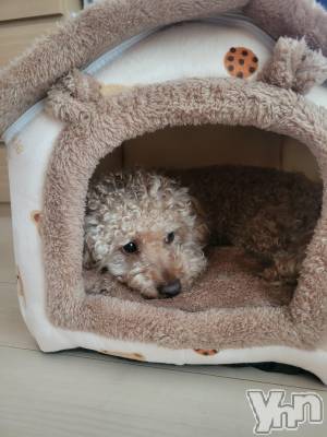 ���ܥ���Х��顦�����club RUDAN(����֥����) ������5��20���̥�֥����ֿ�������������