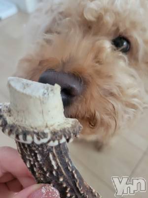 ���ܥ���Х��顦�����club RUDAN(����֥����) ������6��17���̥�֥����ּ��γѡ�