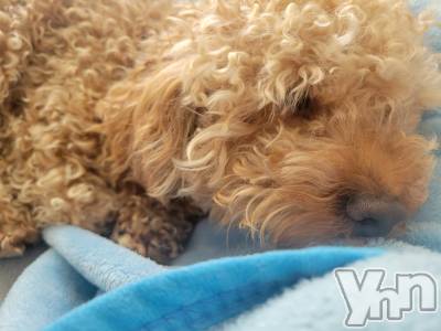 ���ܥ���Х��顦�����club RUDAN(����֥����) ������6��28���̥�֥����֥ǥ��ס������