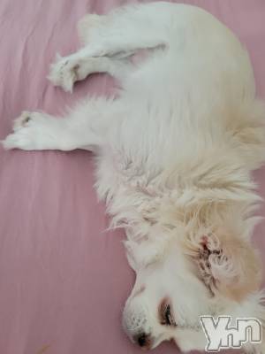 ���ܥ���Х��顦�����club RUDAN(����֥����) ������6��29���̥�֥����֥᥿�ܡ�