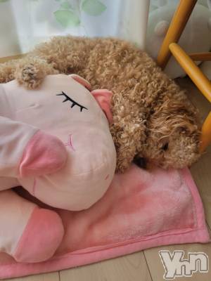 ���ܥ���Х��顦�����club RUDAN(����֥����) ������7��6���̥�֥����֥�˥�����(*����`)��