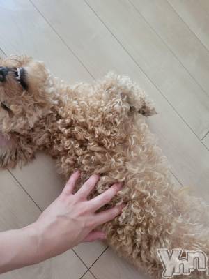 ���ܥ���Х��顦�����club RUDAN(����֥����) ������7��14���̥�֥�����7��14�� 09��57ʬ�Υ֥�����