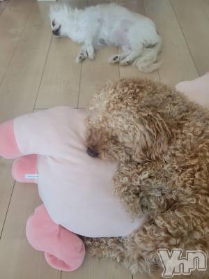 ���ܥ���Х��顦�����club RUDAN(����֥����) ������7��17���̥�֥����֤��뿲��