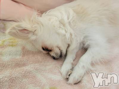 ���ܥ���Х��顦�����club RUDAN(����֥����) ������7��26���̥�֥����֤��뿲��