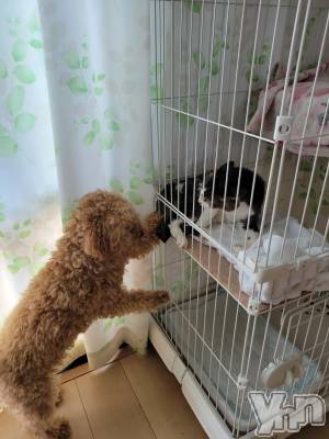 ���ܥ���Х��顦�����club RUDAN(����֥����) ������7��28���̥�֥����ֿ�����🐱��