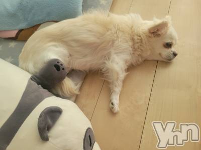 ���ܥ���Х��顦�����club RUDAN(����֥����) ������9��1���̥�֥�����9��Ǥ�( *��︶`*)��