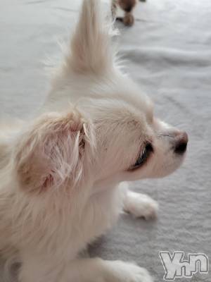 ���ܥ���Х��顦�����club RUDAN(����֥����) ������9��10���̥�֥����֥����ڥåȡ�