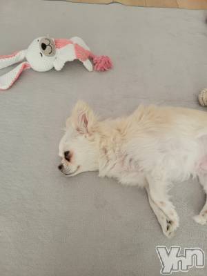 ���ܥ���Х��顦�����club RUDAN(����֥����) ������9��16���̥�֥�������Ĵ���ɡ�