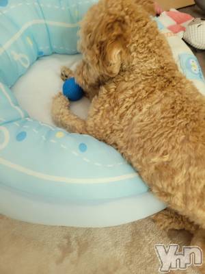 ���ܥ���Х��顦�����club RUDAN(����֥����) ������9��20���̥�֥����֥�ե�դ����