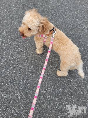 ���ܥ���Х��顦�����club RUDAN(����֥����) ������10��2���̥�֥����֤��������