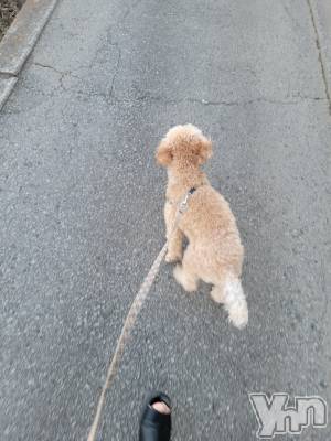 ���ܥ���Х��顦�����club RUDAN(����֥����) ������11��13���̥�֥����֤������