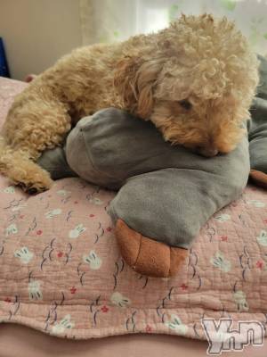 ���ܥ���Х��顦�����club RUDAN(����֥����) ������11��22���̥�֥����֤�դ�շ���