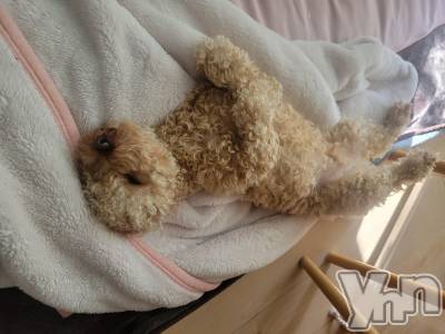 ���ܥ���Х��顦�����club RUDAN(����֥����) ������11��28���̥�֥�����11��28�� 16��03ʬ�Υ֥�����