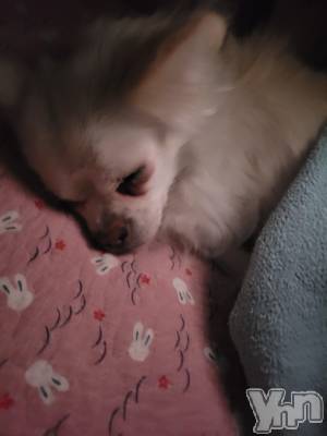 ���ܥ���Х��顦�����club RUDAN(����֥����) ������12��10���̥�֥���������( *��︶`*)��