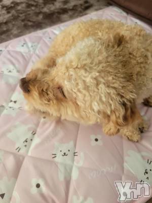 ���ܥ���Х��顦�����club RUDAN(����֥����) ������12��15���̥�֥����֤⤳�⤳����✩.*�����