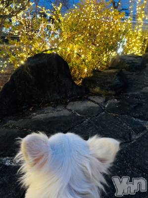 ���ܥ���Х��顦�����club RUDAN(����֥����) ������12��24���̥�֥����֥���ߥ͡�������